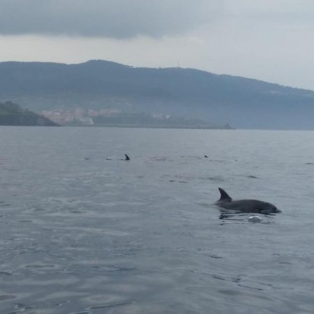 Bermeoko Etxie La Casa De Bermeo Ebi-795 Daire Dış mekan fotoğraf