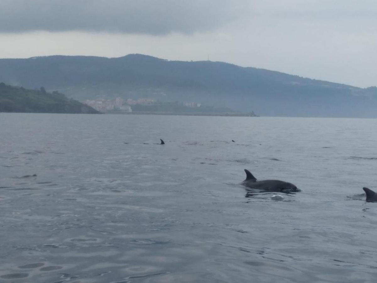 Bermeoko Etxie La Casa De Bermeo Ebi-795 Daire Dış mekan fotoğraf